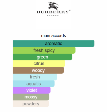 Mr. Burberry Indigo Burberry for men 100ML