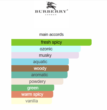 Touch for Men Burberry for men 100ML