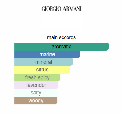 Acqua di Giò Eau de Parfum Giorgio Armani for men 100ML